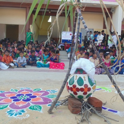 pongal celebration